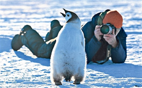 Son Sorusunu Belgesel Müptelalarının Görebileceği Test