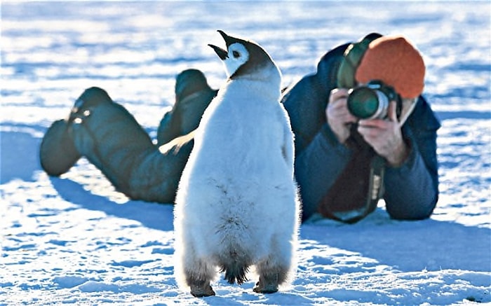 Son Sorusunu Belgesel Müptelalarının Görebileceği Test