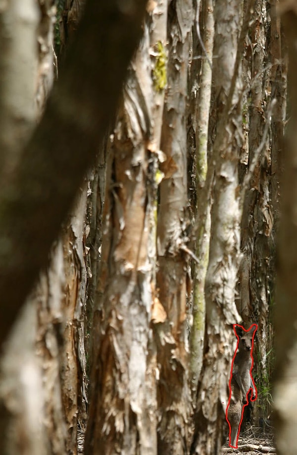 Посмотреть правильный ответ: