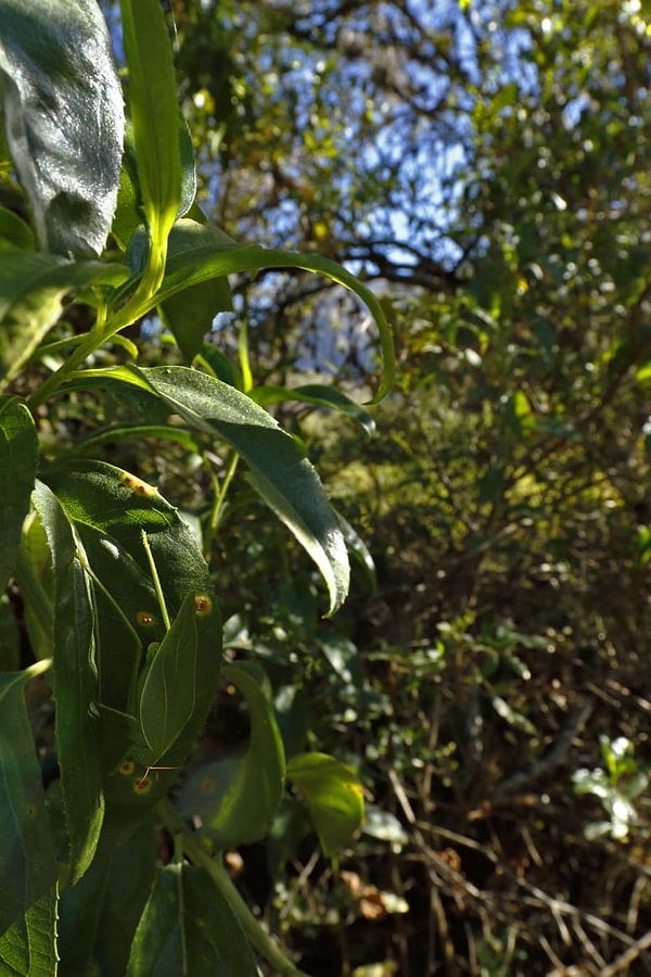 3. А что скажете насчет этой фотографии?