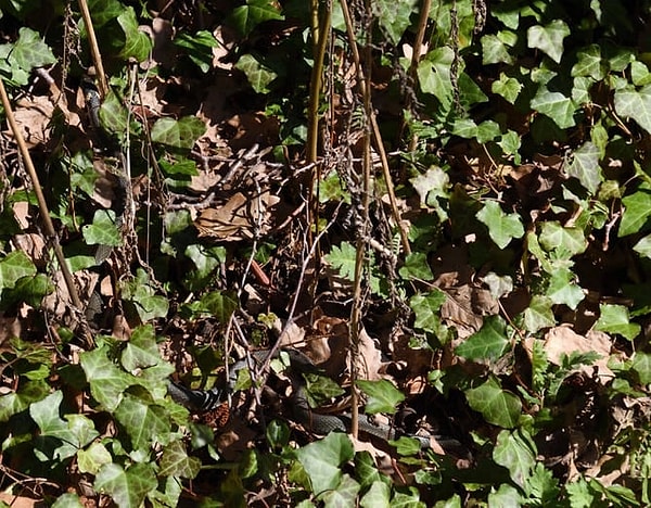 6. Справились?