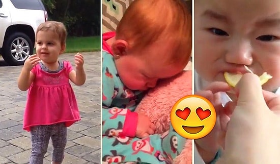 Готовы поспорить, что просмотр видео этих малюток избавит вас от стресса всего за 2 минуты! :)