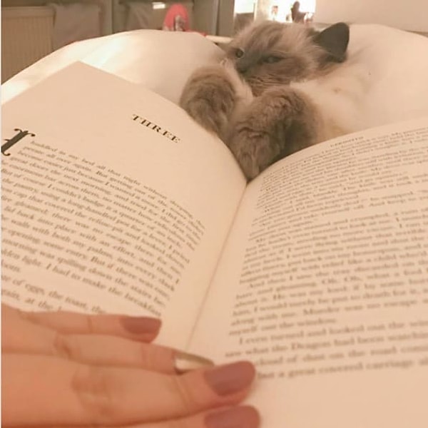 13. Почитайте интересную книгу, в которую можно уйти с головой