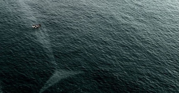 2. Страх неизвестности водных пучин, когда вы отплыли подальше от берега