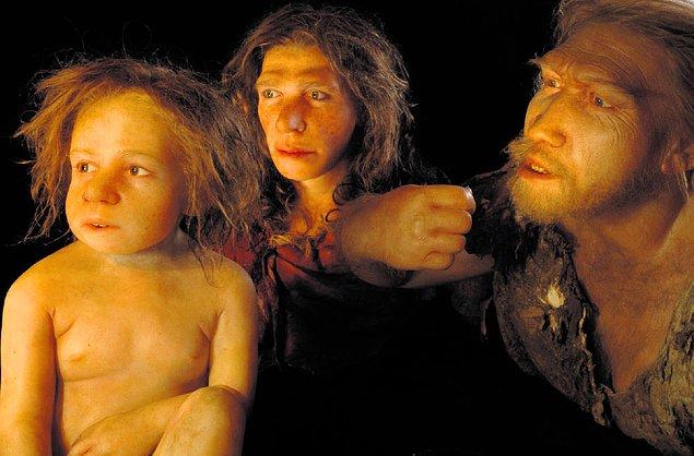Yeni araştırmada aynı zamanda Neanderthallerin genelde küçük gruplar halinde yaşadığı, bu küçük grupların da kendi içlerinde çiftleştiği de görüldü.