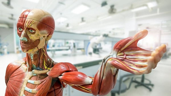 4. В донорстве нет ничего ужасного