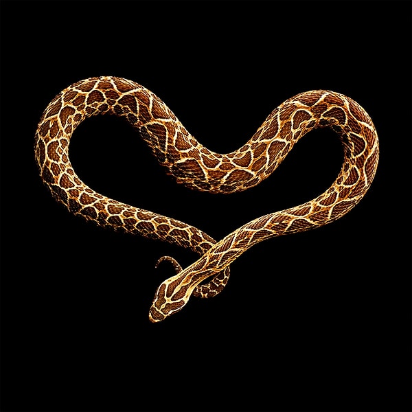 Поздравляем Марка с удачной работой!