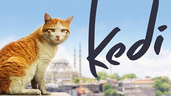 1. Ceyda Torun'un ABD'de iyi iş çıkaran "Kedi" belgeseli, Film Eleştirmenleri En İyi Belgesel Ödülleri'nde beş adaylık elde etti.