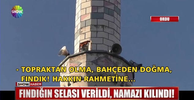 16.