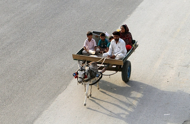 Повозки с ослами используют в Пакистане..,
