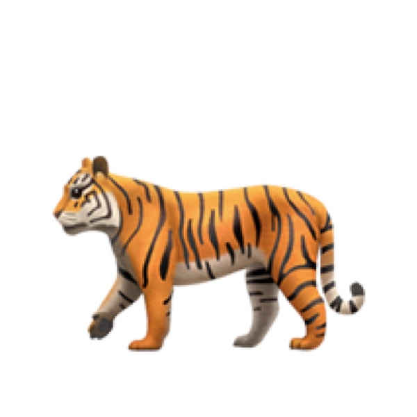 Так вот вы кто!  🐅