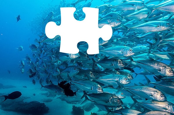 2. А здесь что должно встать на место пропуска?