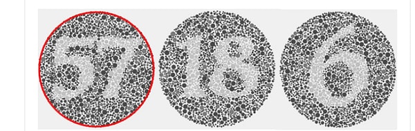 Показать правильный ответ