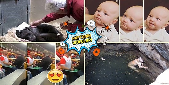 Geçtiğimiz Haftanın Mutlaka İzlemeniz Gereken 10 Videosu