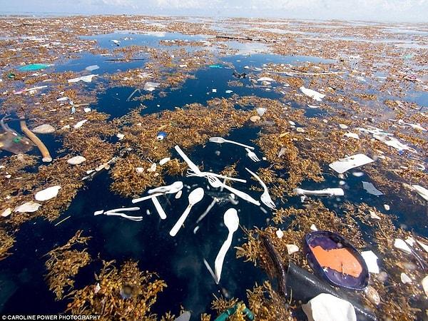 İnsanların kullanıp attığı tüm plastikler okyanusun üstüne çıkmış durumda!