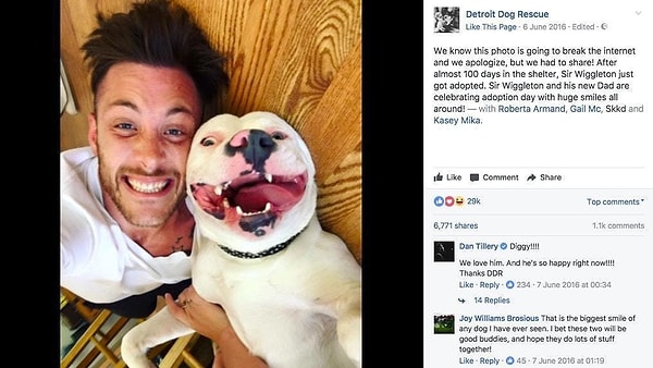 6. Кто бы мог подумать, что одно из таких селфи станет роковым.