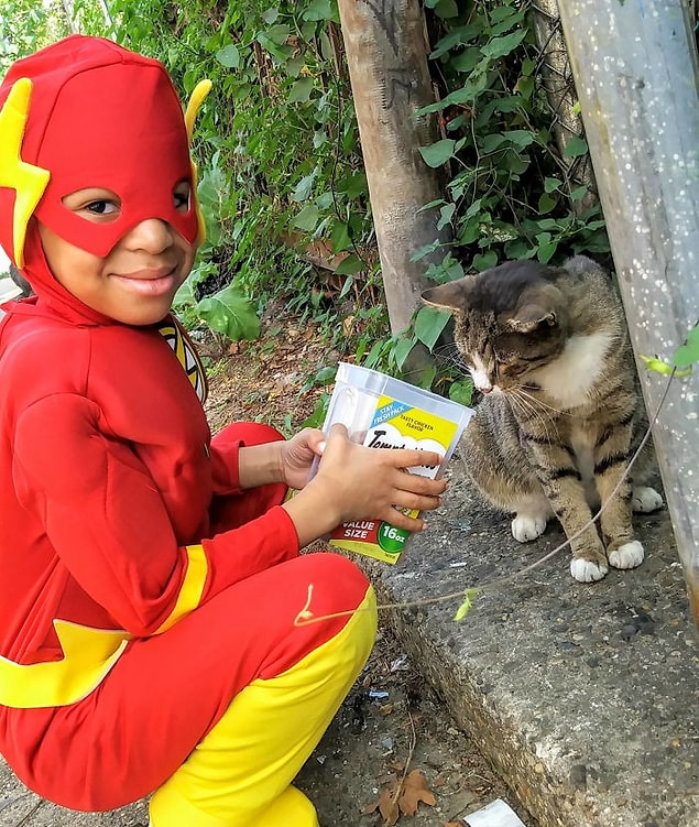 En "soğuk" kediler bile bu küçük kahramanın büyüsüne karşı koyamıyor. 😻