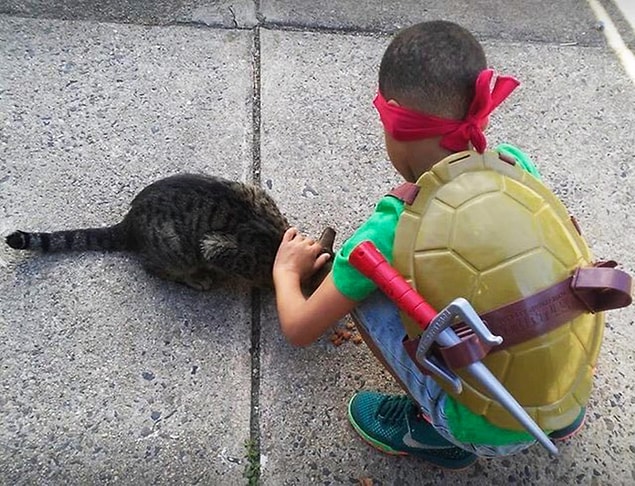 Tabi ki Kedi Adam'a! 😻