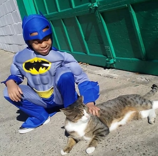 3. «Поначалу мы слегка волновались, как отреагируют дикие кошки на 3-летнего шумного малыша: они могли испугаться его и разбежаться. Но наше беспокойство было напрасным», — продолжает рассказывать Крис.