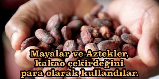 Yiyecekler Hakkında Muhtemelen Daha Önce Hiç Duymadığınız Şaşırtıcı Bilgiler