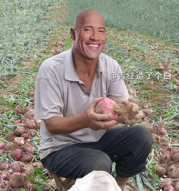 2. Почему же эта свекла так развеселила Дуэйна Джонсона?