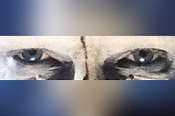 8. Как думаете, кому принадлежат эти глаза?