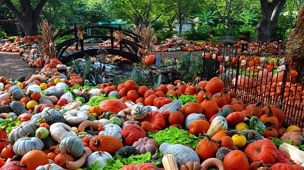 Тема этого года "Волшебник страны Оз" оставляет посетителей в изумлении.