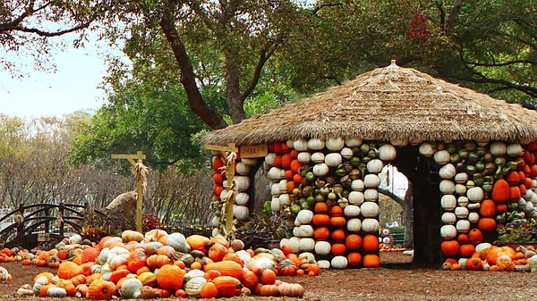 Экспозиция будет открыта до 22 ноября.