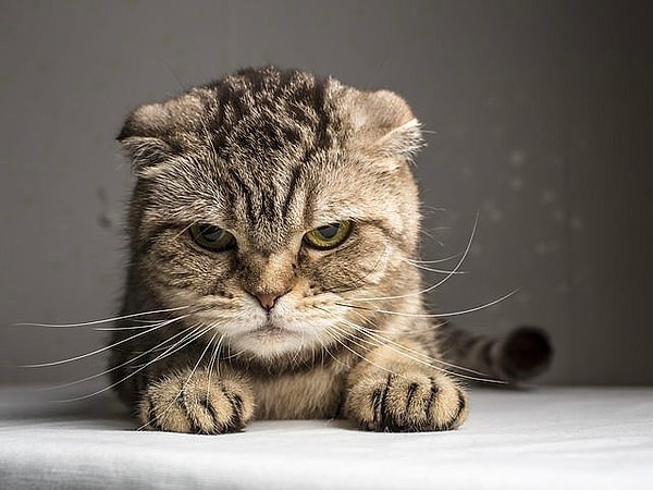 Ваши мысли довольно опасны