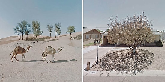 Женщина, страдающая агорафобией, стала сенсацией в Instagram, куда она выкладывает скриншоты своих виртуальных путешествий по Google Maps