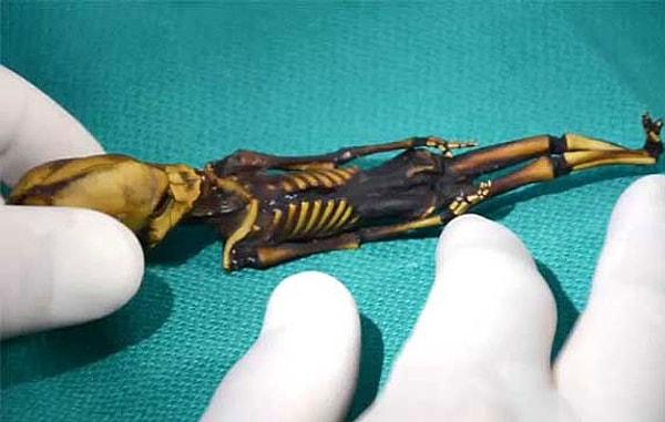 4. In an abandoned town of Chile, a 6-8 inches long skeleton was discovered.