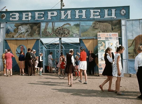 6. Местный зоопарк прямо на пляже 🐵🐯🐻