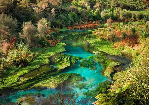 6. Столица Новой Зеландии называется...