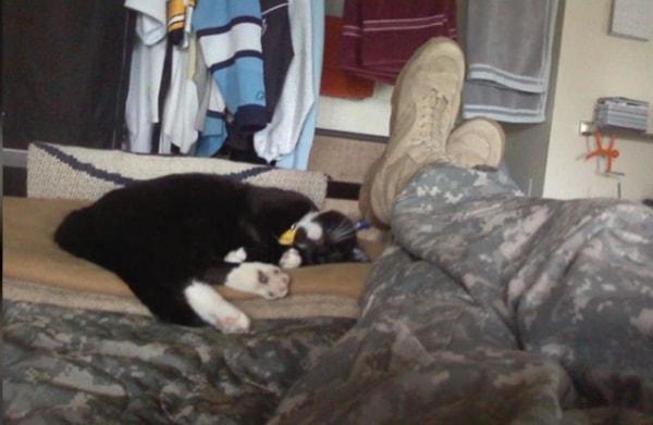 5. Джош позабыл о проблемах и начал думать о своем маленьком пушистом спасителе.