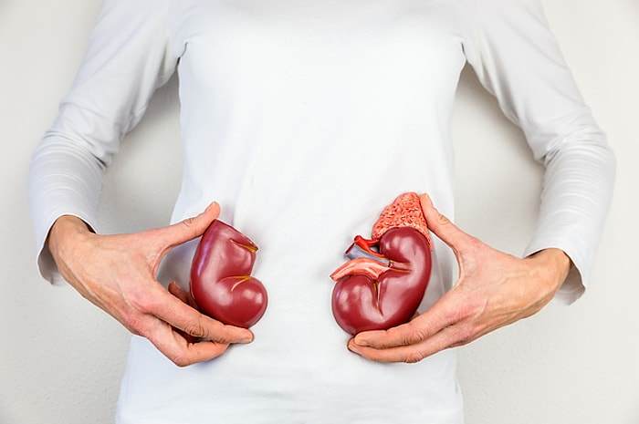 Только 25% людей могут справиться с этим тестом на знание человеческого тела