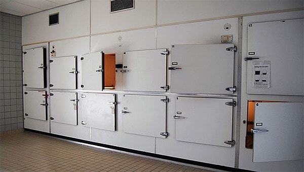 1. Дафни Бэнкс