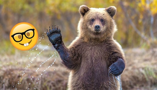 Тест на знание животного мира для школьников, который заваливает 97% взрослых людей