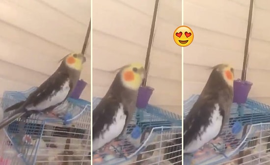 Doğuştan Atatürkçü Sultan Papağanından 'Mustafa Kemal'in Askerleriyiz' Sözleri