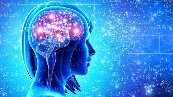 2. Биокинез является развиваемой способностью и прогрессирует шаг за шагом.