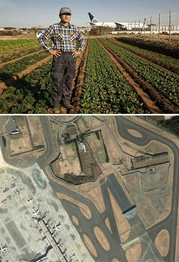 10. Ферма в центре аэропорта Нарита, Япония. Фермеры отказываются продавать свою землю в самой середине этого аэропорта. Взлетно-посадочная полоса функционирует лишь наполовину из-за их отказа от переезда