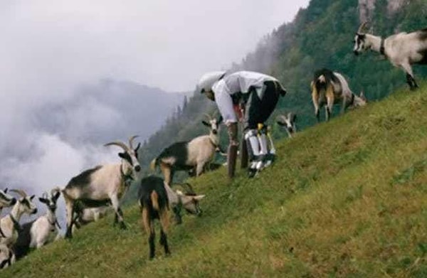 2. Человек-козел