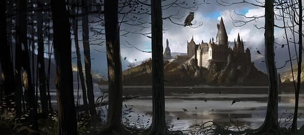 11. Hogwarts İskoçya'dadır.