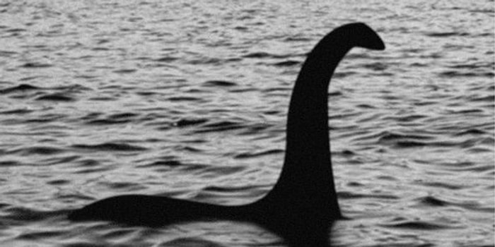 Testi Adım Adım Çöz ve Van Gölü Canavarının Dehşetinden Kaçabilecek misin Gör!