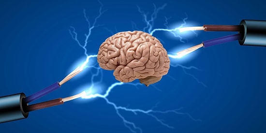 Bilimin Işığını Arayanların Başucu Kaynağı Olması Gereken 14 Web Sitesi