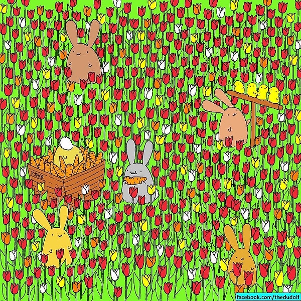 3. Нашли на этой картинке яйцо?