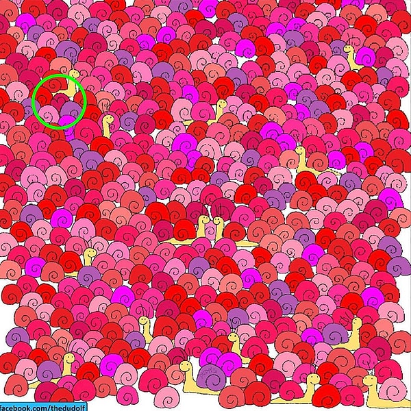 Посмотреть ответ: