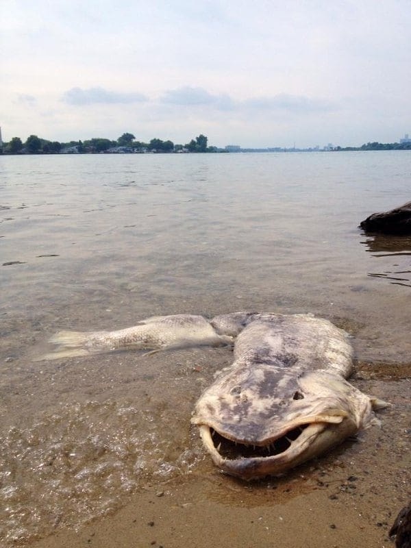 8. Что ты такое?!!