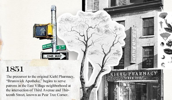 11. Kiehl's
