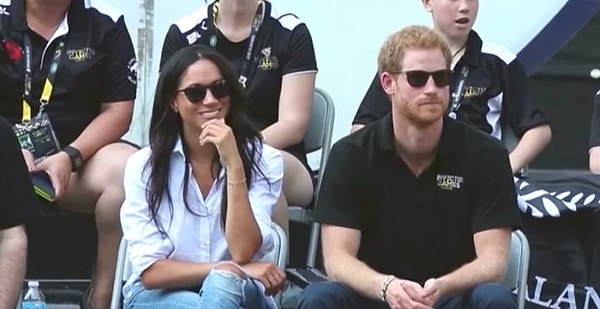 13. Гарри взял её под свою защиту.