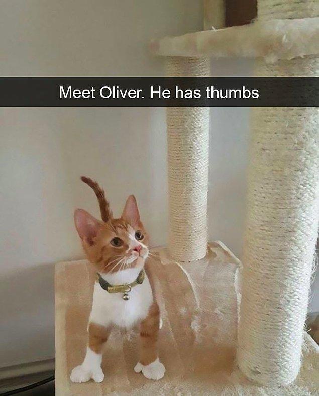 25. "Oliver ile tanışın. Onun baş parmakları var."
